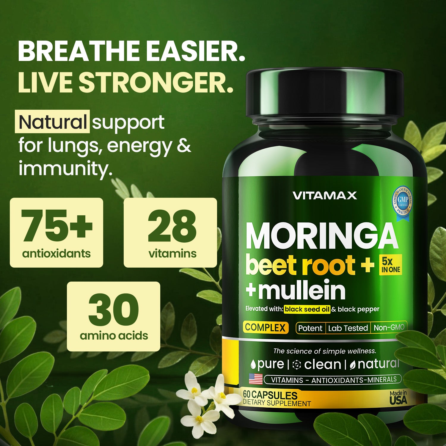 Moringa