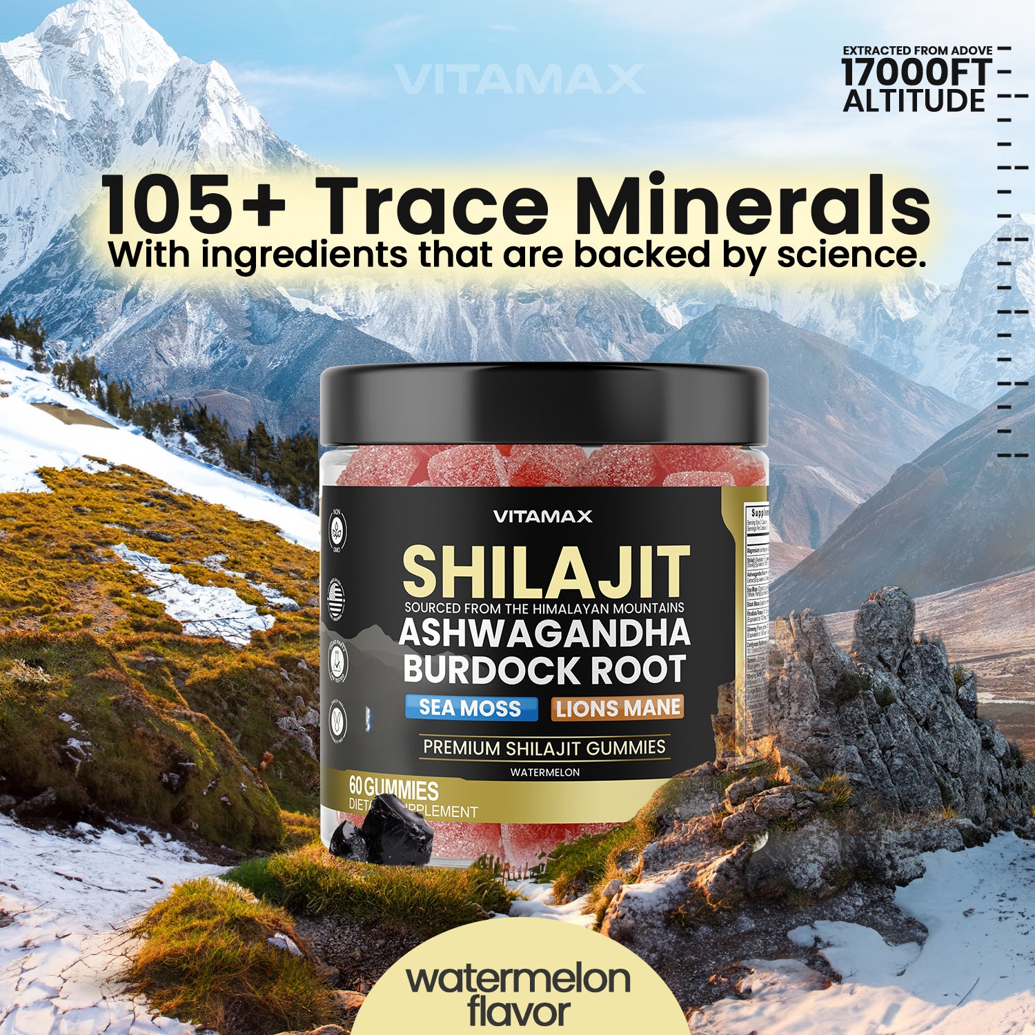 Shilajit - Watermelon Flavor