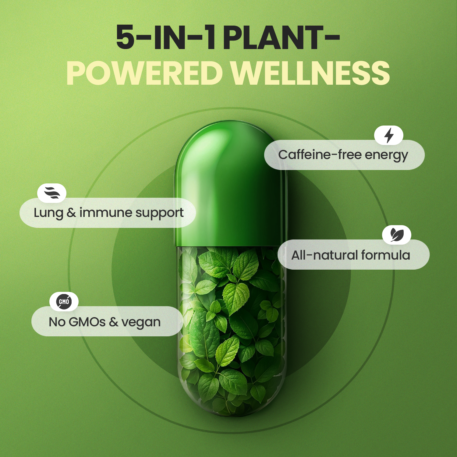 Moringa
