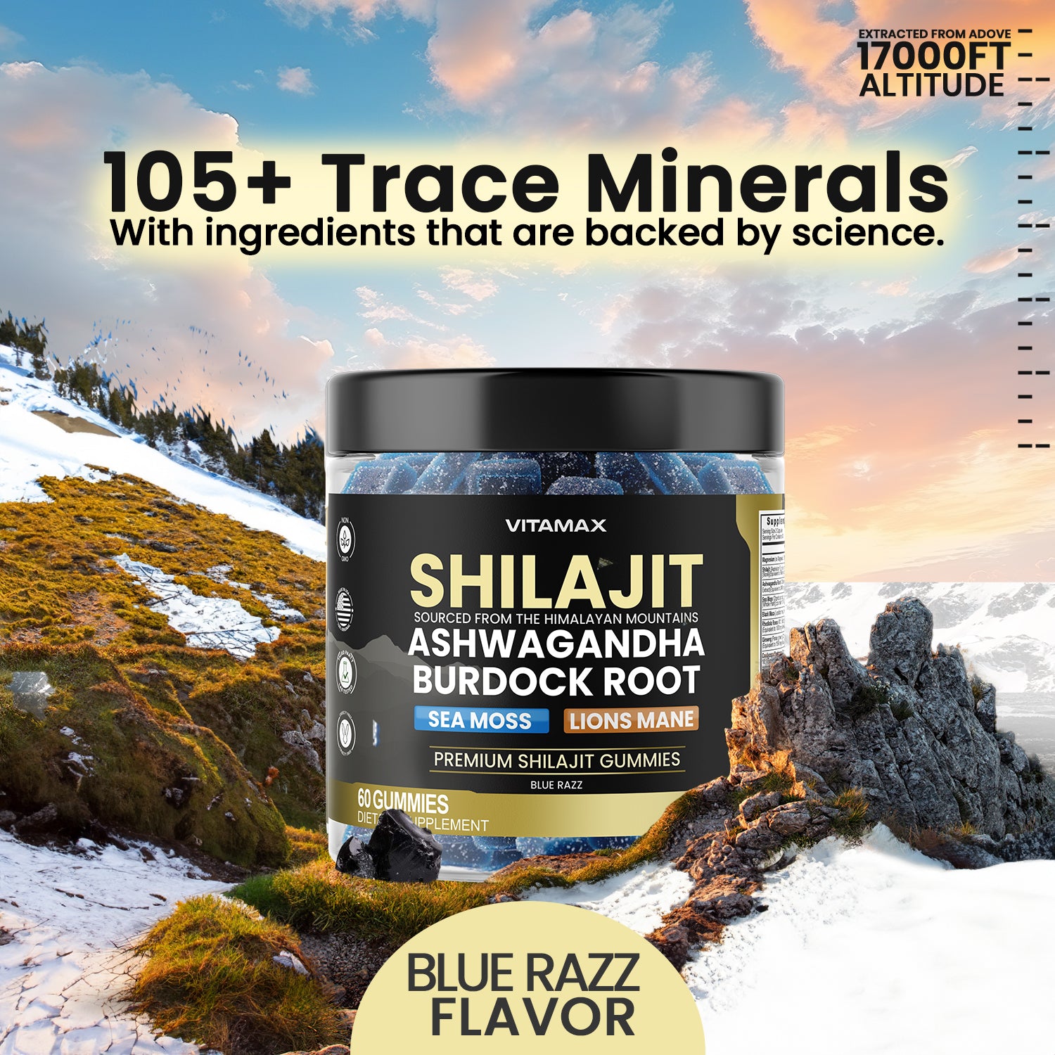 Shilajit - Blue Razz Flavor